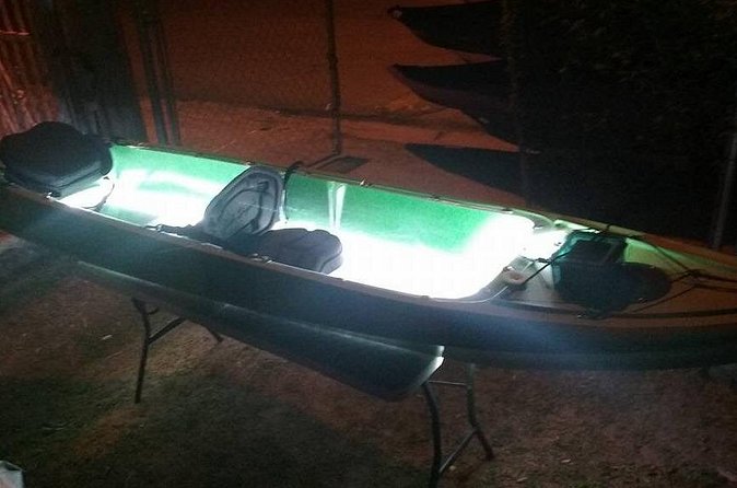 Bioluminescent Bay Kayak Trip from Vieques - The biggest variable is the night itself