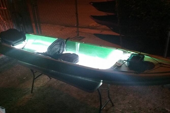Bioluminescent Bay Kayak Trip from Vieques - Safety, comfort, and who should skip it