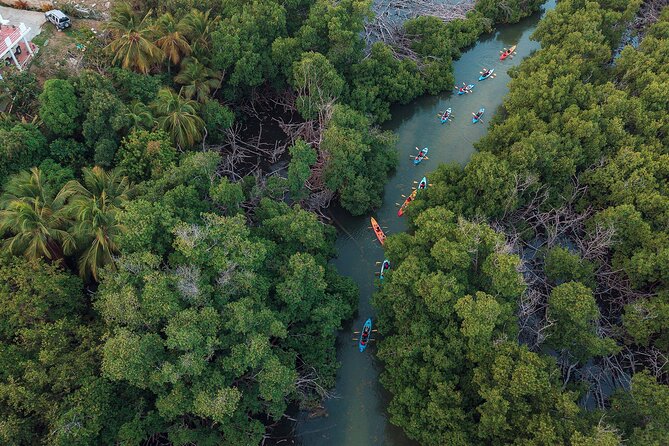 Bioluminescent Bay Night Kayaking Adventure in Puerto Rico - Guides make the biggest difference for beginners
