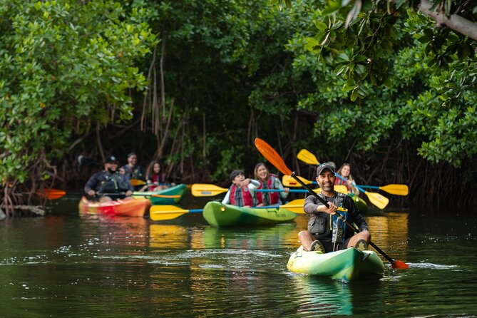 Bioluminescent Bay Night Kayaking Adventure in Puerto Rico - How wet and strenuous is the kayaking?