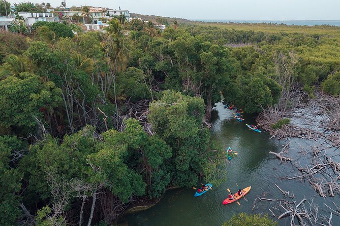 Bioluminescent Bay Night Kayaking Adventure in Puerto Rico - Who should book this adventure?