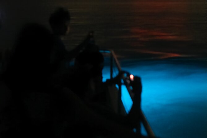 Bioluminescent Boat Tour in Mosquito Bay, Vieques - Boarding the electric catamaran near Sunbay Beach