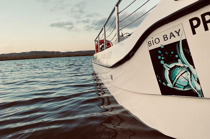 Bioluminescent Boat Tour in Mosquito Bay, Vieques - Boat tour or kayak tour?