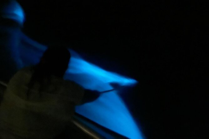 Bioluminescent Boat Tour in Mosquito Bay, Vieques - Timing, group size, and communication