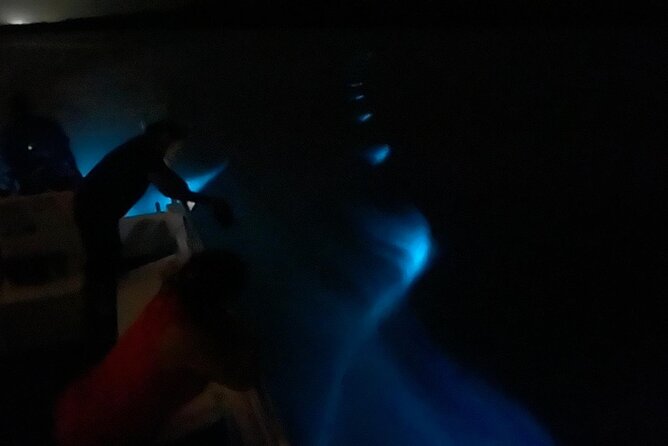 Bioluminescent Boat Tour in Mosquito Bay, Vieques - Who will enjoy this night on the bay?