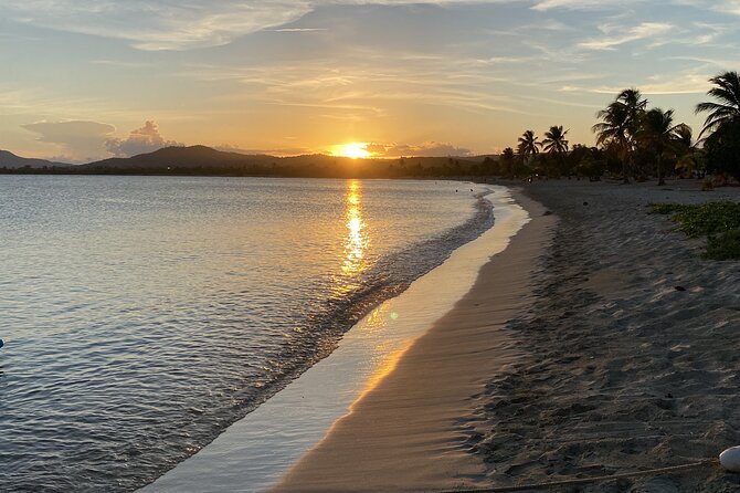 Bioluminescent Boat Tour in Mosquito Bay, Vieques - Watching the water light up