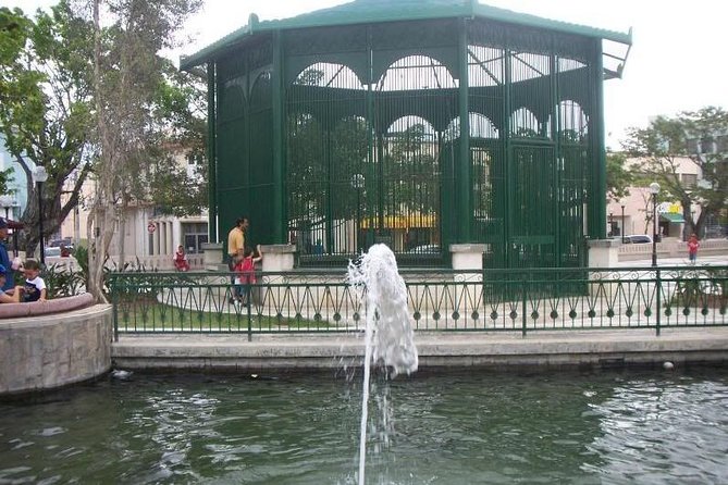 Caguas Cultural Day Trip from San Juan Including Botanical Garden and Lunch - Is this Caguas tour right for you?