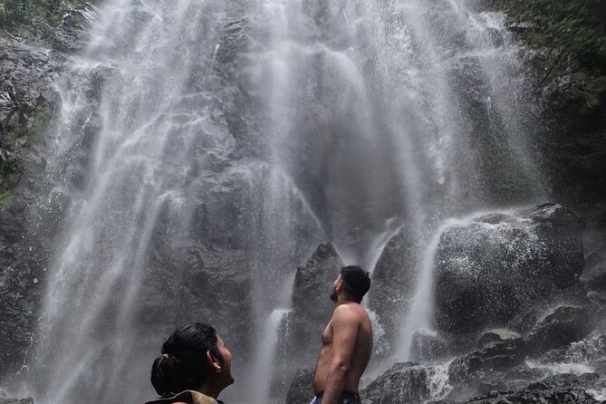 Chase Waterfalls - Discover a hidden 180ft rainforest gem - Key points at a glance
