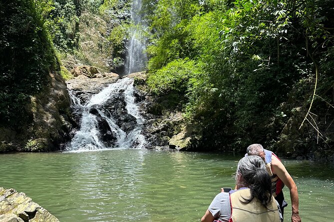 Chase Waterfalls - Discover a hidden 180ft rainforest gem - Following the river for about 30 minutes