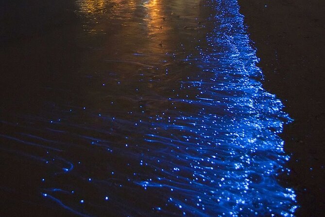 CLEAR BOTTOM KAYAKS Tour in Bioluminescent, Mosquito Bay - The blue water of Mosquito Bay