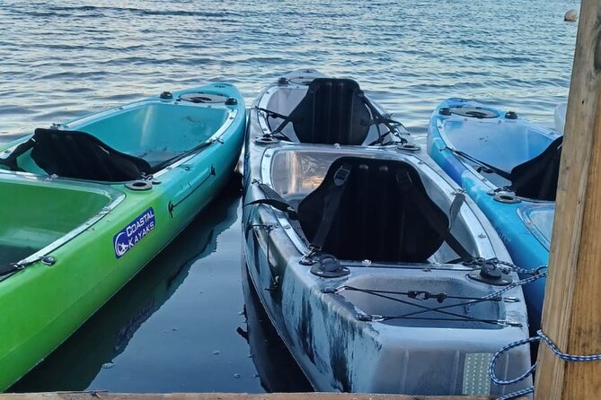 CLEAR BOTTOM KAYAKS Tour in Bioluminescent, Mosquito Bay - Guides, explanations, and safety
