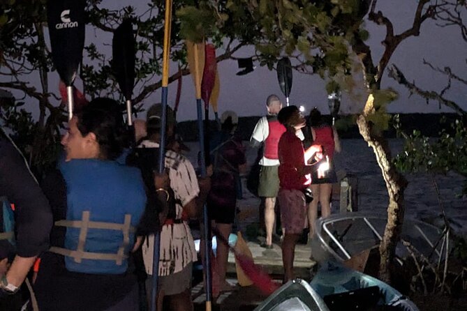 CLEAR BOTTOM KAYAKS Tour in Bioluminescent, Mosquito Bay - Ferry planning can make or break the evening