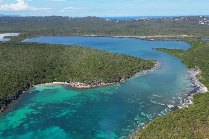 CLEAR BOTTOM KAYAKS Tour in Bioluminescent, Mosquito Bay - What to wear and bring