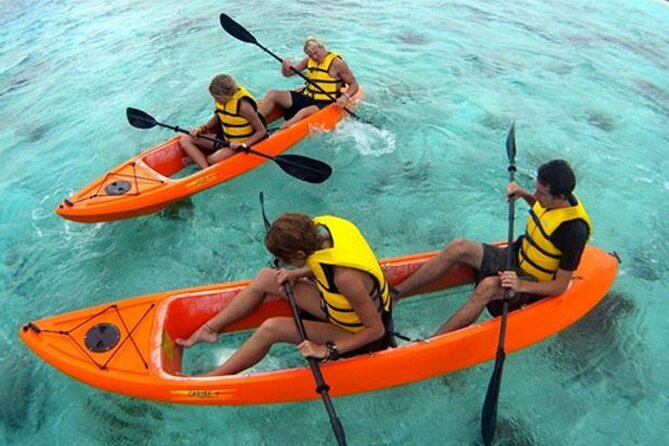 CLEAR BOTTOM KAYAKS Tour in Bioluminescent, Mosquito Bay - Why the clear-bottom kayaks matter