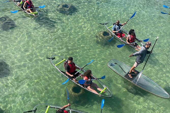 Clear Kayak Tour in Condado Lagoon - Key details at a glance