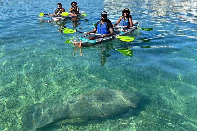 Clear Kayak Tour in Condado Lagoon - Paddling through Laguna del Condado