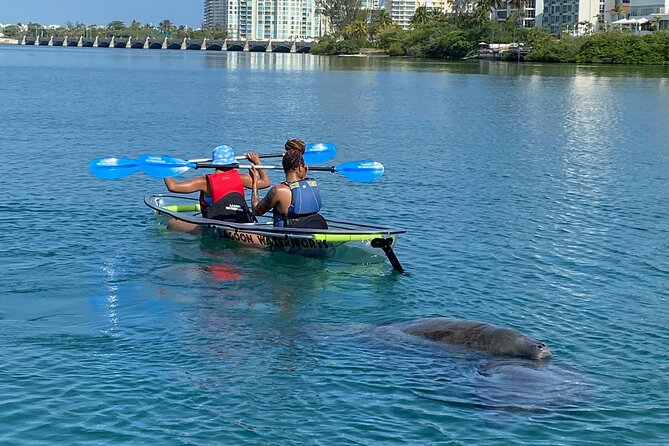 Clear Kayak Tour in Condado Lagoon - What the $59 price gets you