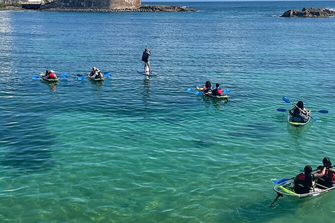Clear Kayak Tour in Condado Lagoon - Who will enjoy this Condado Lagoon outing