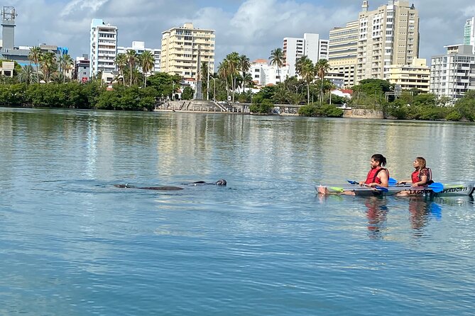 Clear Kayak Tour in Condado Lagoon - Practical preparation before you arrive