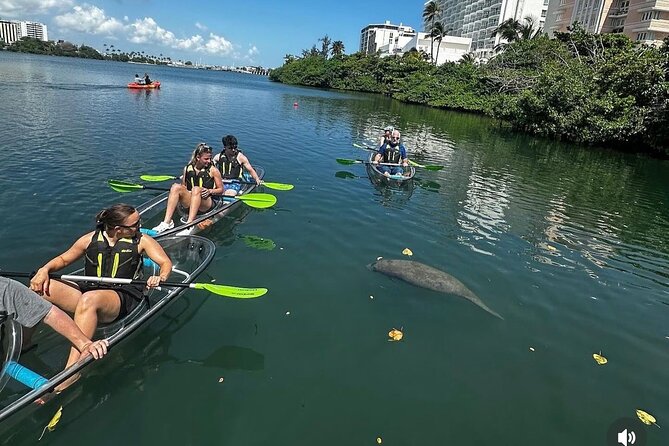 Clear Kayak Tour in Condado Lagoon - Looking below the clear hull