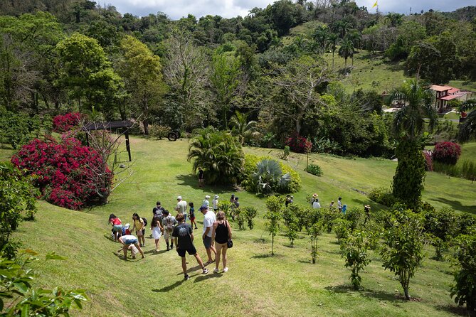 Coffee Plantation and River with Waterfalls in Puerto Rico - Coffee, breakfast, and the first look at Hacienda Munoz
