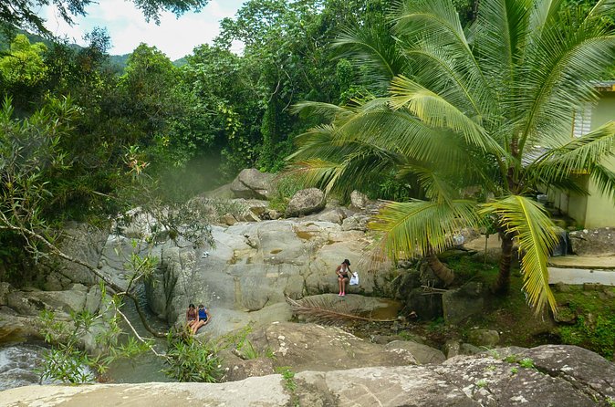 Coffee Plantation and River with Waterfalls in Puerto Rico - Booking advice and small practical details