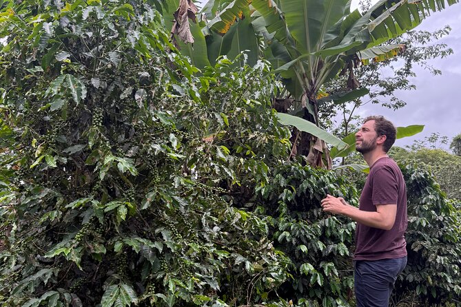 Coffee & Waterfalls Tour: from the mountains to the cup - What $285 really buys you