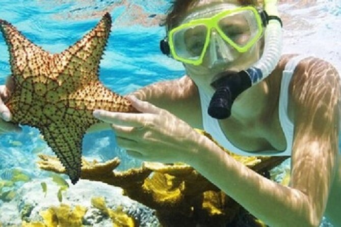 Combo El Yunque Rainforest and San Juan Snorkeling with Transport - Safety in the forest depends on following instructions