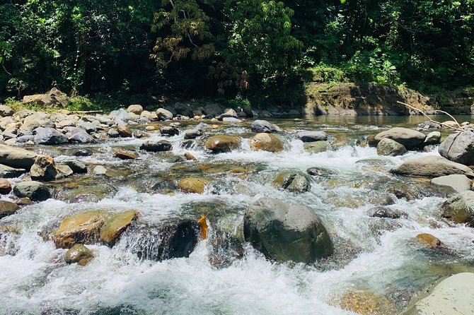 Concrete Jungle to the Actual Jungle, The Complete Package Tour - The rainforest river swim