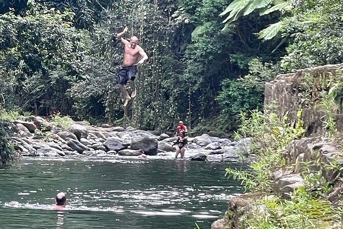 Concrete Jungle to the Actual Jungle, The Complete Package Tour - What $280 means for the value