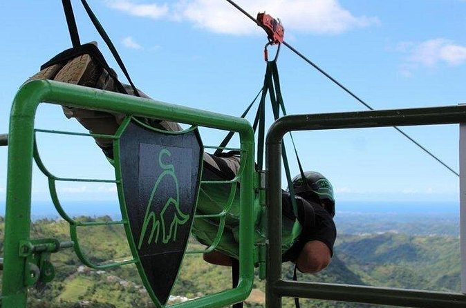 Conquer the Skies: Monster Zipline at Toro Verde Adventure Park - What the views are really worth