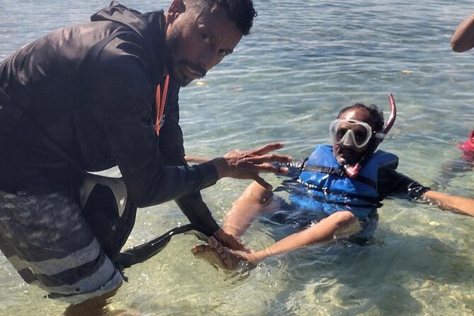 Coral Reef and Sea Turtle Snorkeling Experience - Who will enjoy this outing most?
