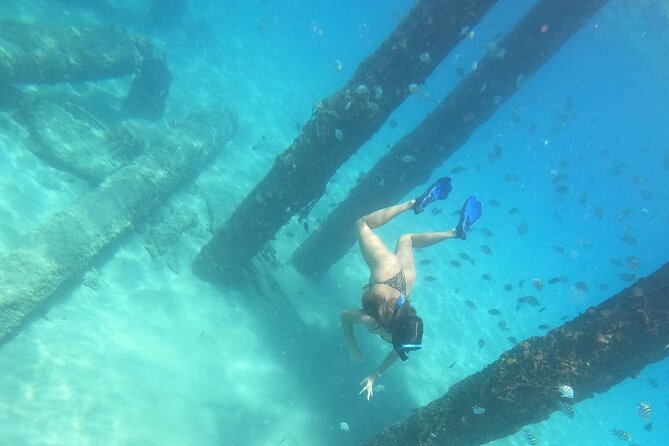 Coral Reef Snorkel Adventure with Photos and Videos - Starting at 564 Black Eagle Road in Rincón