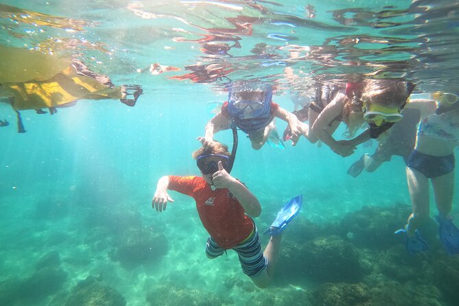 Coral Reef Snorkel Adventure with Photos and Videos - Following the guide across the Tres Palmas reef