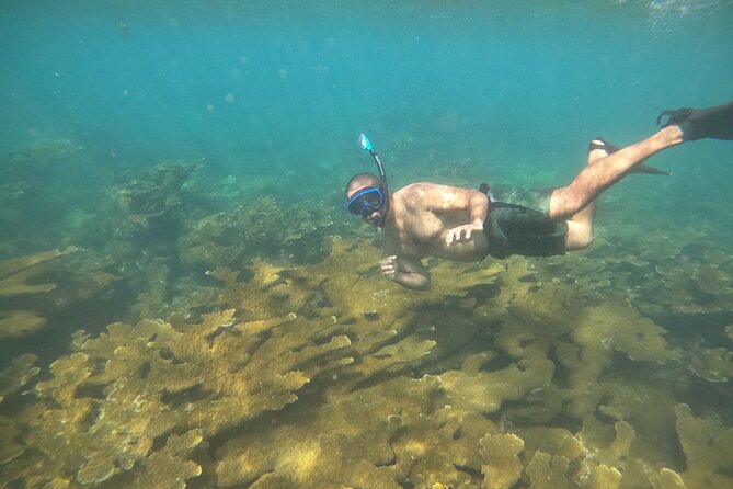 Coral Reef Snorkel Adventure with Photos and Videos - What the guides add to the experience