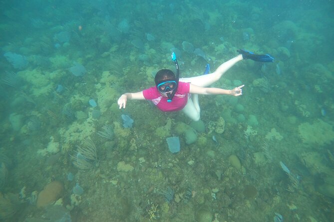 Coral Reef Snorkel Adventure with Photos and Videos - Photos and videos included after the swim