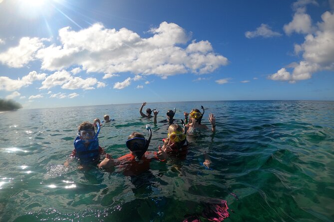 Coral Reef Snorkel Adventure with Photos and Videos - Is $50 a fair price?