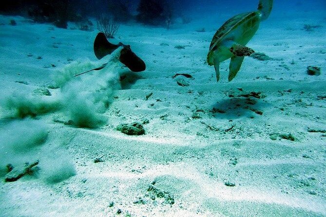 Culebra Snorkel and Beach Day with Lunch and Drinks - What the six-hour schedule feels like