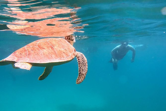 Culebra Snorkel and Turtle Adventure with Transport - Start early at Ceiba Ferry Terminal