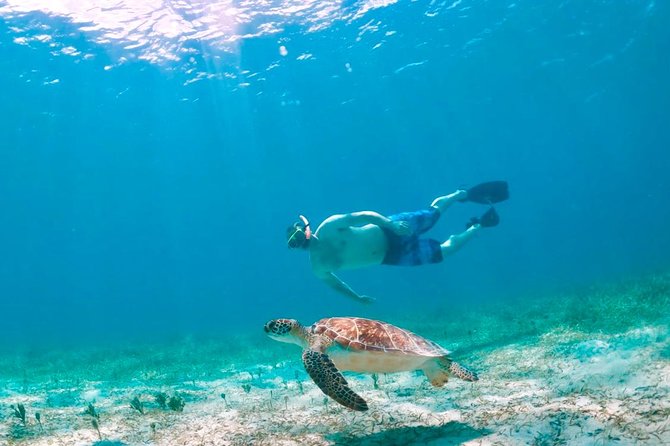 Culebra Snorkel and Turtle Adventure with Transport - A quick minibus look at Culebra