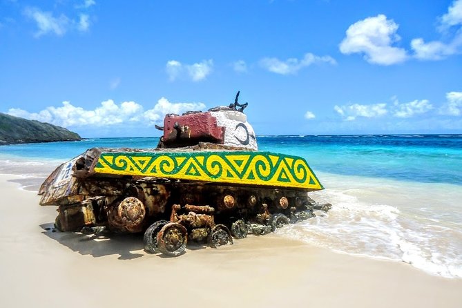 Culebra Snorkel and Turtle Adventure with Transport - Snorkeling in the Luis Peña Marine Reserve