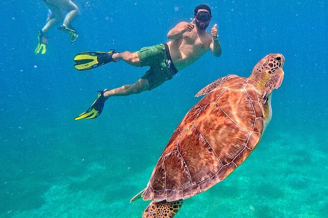 Culebra Swim with Turtles Adventure and Flamenco Beach by Ferry - Why Tamarindo Beach is the real reason to book