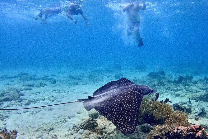 Culebra Swim with Turtles Adventure and Flamenco Beach by Ferry - Flamenco Beach gives you a slower second half