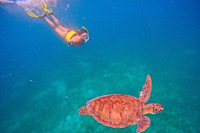 Culebra Swim with Turtles Adventure and Flamenco Beach by Ferry - Who will enjoy this Culebra excursion most?