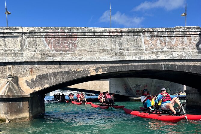Day Adventure Chiliboats Waterbike – Condado Lagoon - Wildlife watching without a loud engine