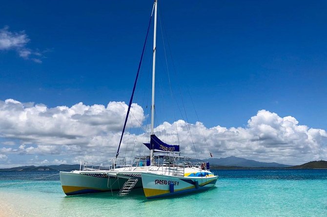 Day Sail without transportation - Key points at a glance