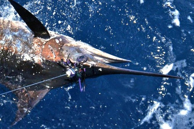 Deep Sea Fishing Private Boat Charter in San Juan - Sea sickness deserves serious thought