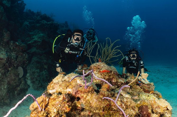 Discover Culebra: 2-Tank Scuba Diving - Starting at Villa Marina Shopping Center in Fajardo
