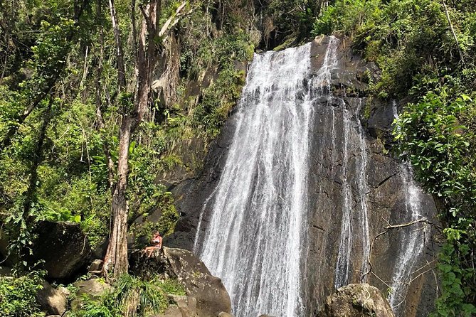 Discover El Yunque National Park: Half-Day Rainforest Tour - A gentle introduction to El Yunque from San Juan