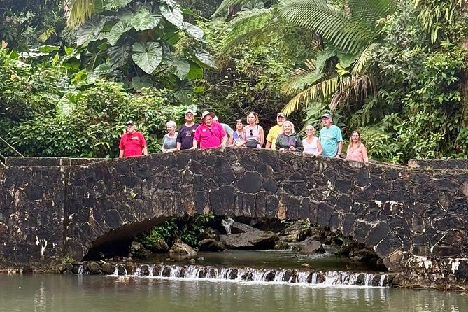 Discover El Yunque National Park: Half-Day Rainforest Tour - The short nature walk keeps things easy